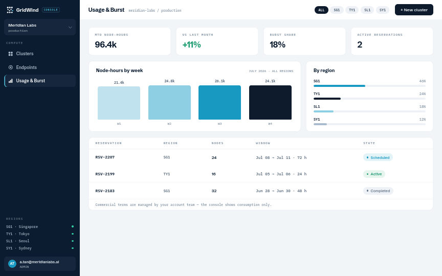 GridWind console — usage and burst view
